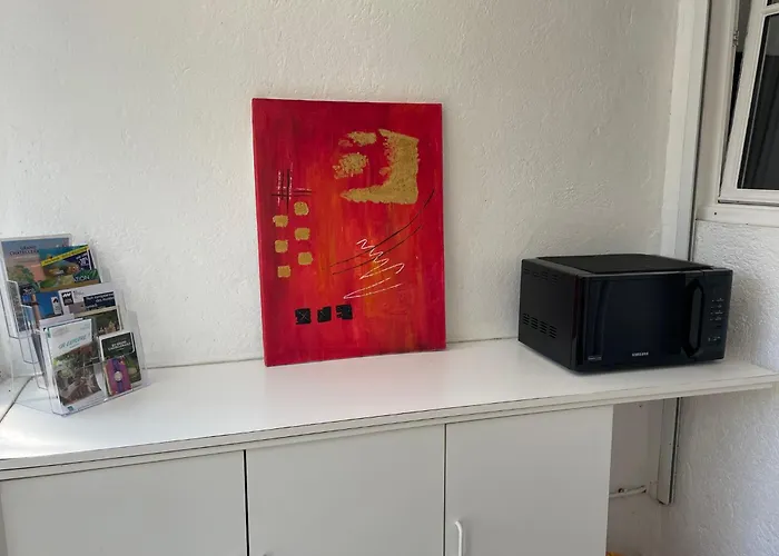 Emma , Maison Classee 3 Etoiles Au Centre De Avec Jardin Clos A Chatellerault, A 20 Mn Futuroscope&aquascope Vakantiehuis